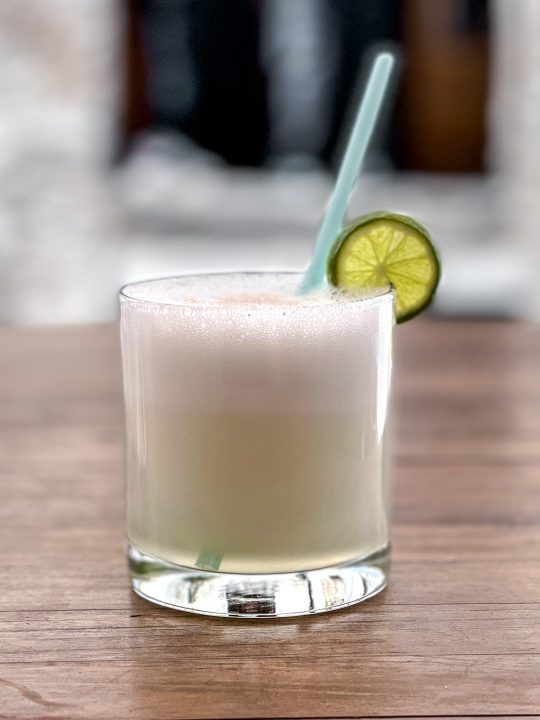 Classic Pisco Sour — Wanderings in My Kitchen
